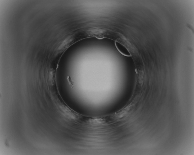 X0000097780378200803071355