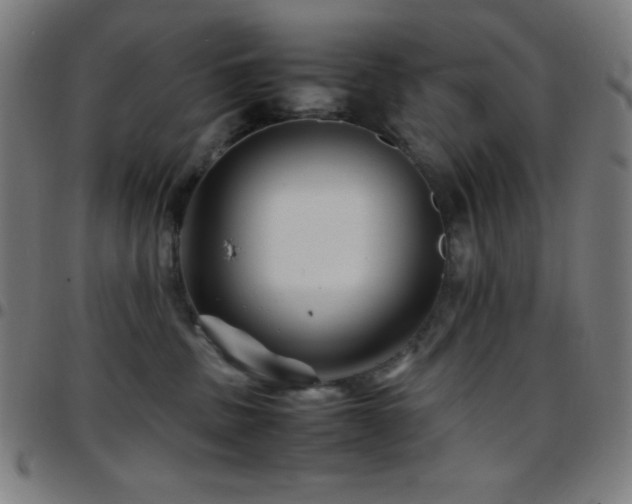 X0000097780379200803071355