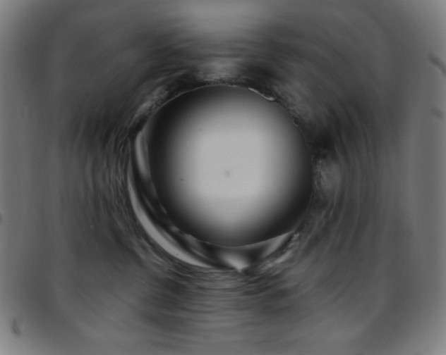 X0000097780380200803071355