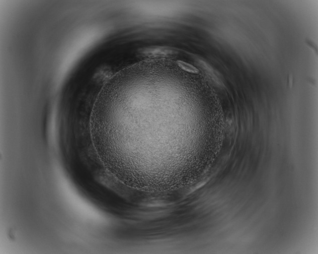 X0000097780381200803071355