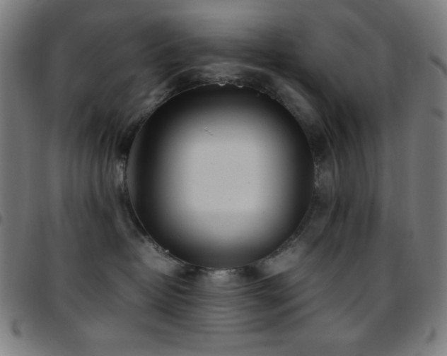 X0000097780382200803071355