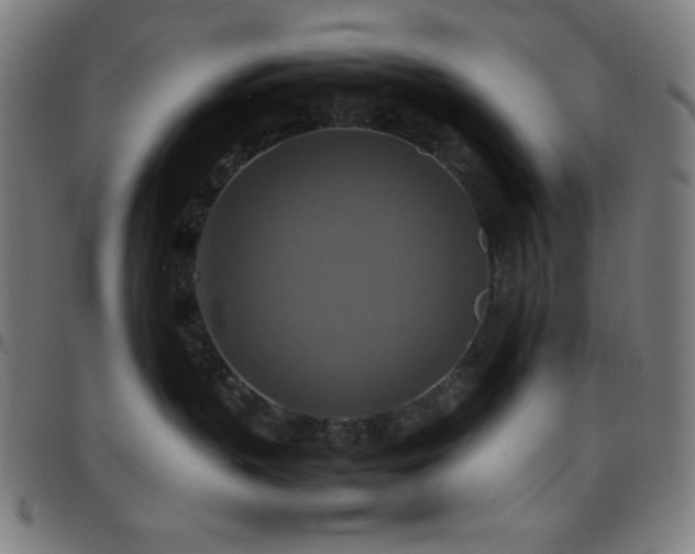 X0000097780383200803071355