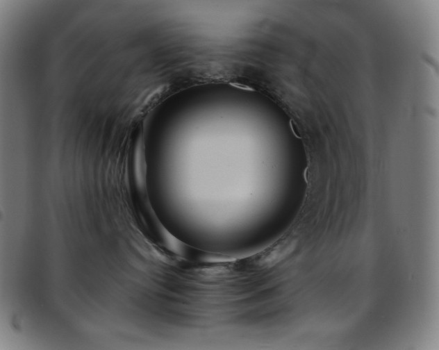 X0000097780384200803071355