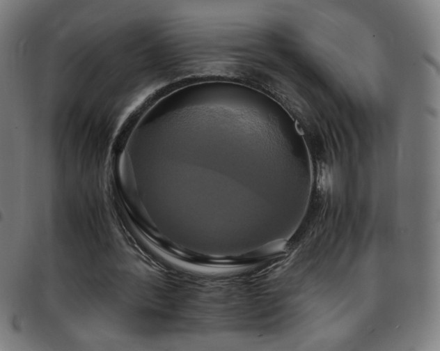 X0000097780388200803071354