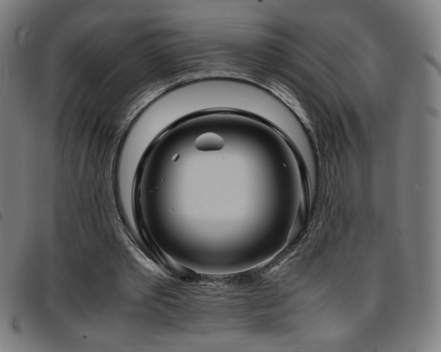 X0000097780389200803071354