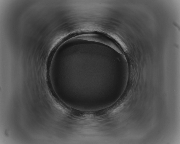 X0000097780391200803071354