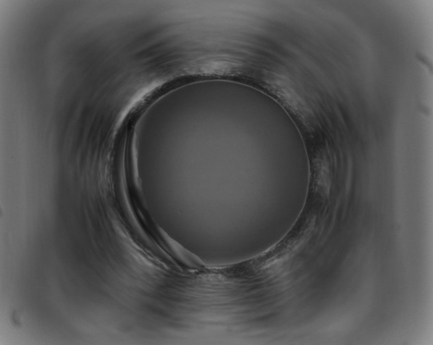 X0000097780392200803071354