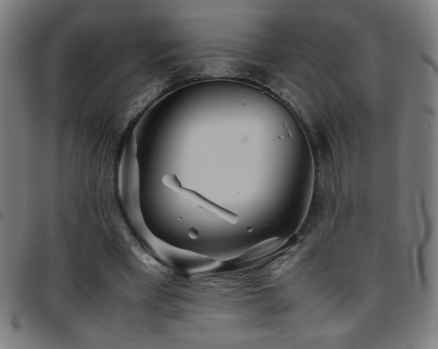 X0000097780393200803071354