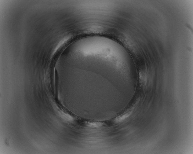 X0000097780396200803071354