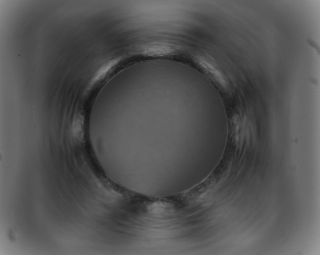 X0000097780400200803071354