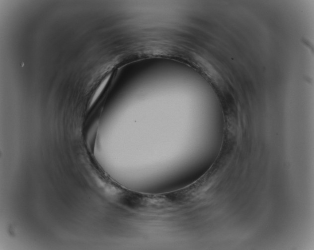 X0000097780401200803071354