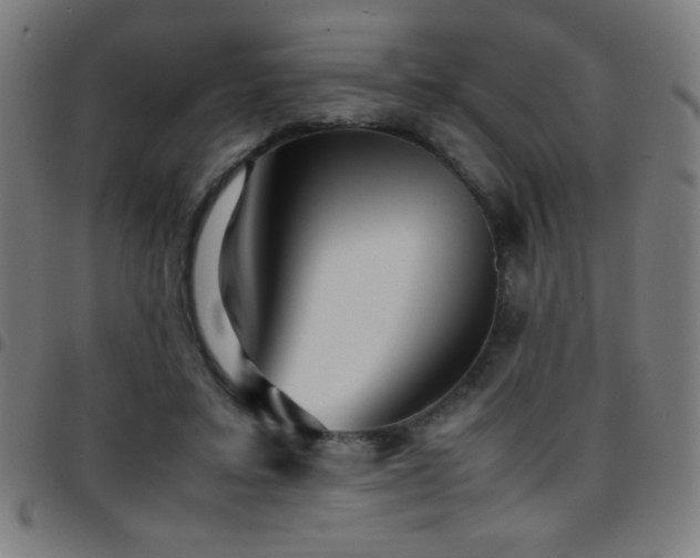 X0000097780403200803071354