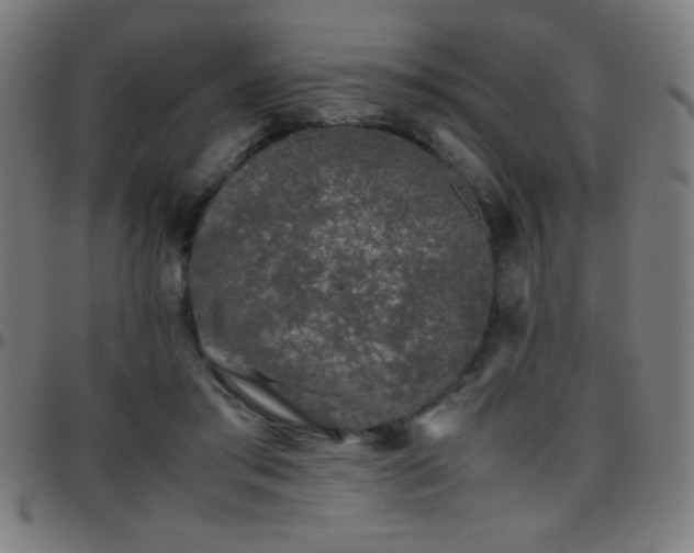 X0000097780405200803071354