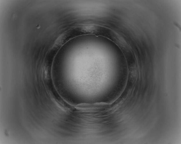 X0000097780408200803071354
