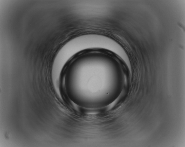 X0000097780409200803071354