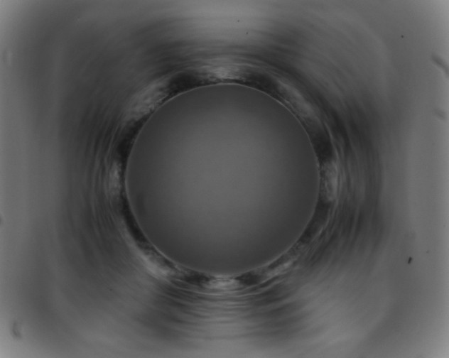 X0000097780410200803071354