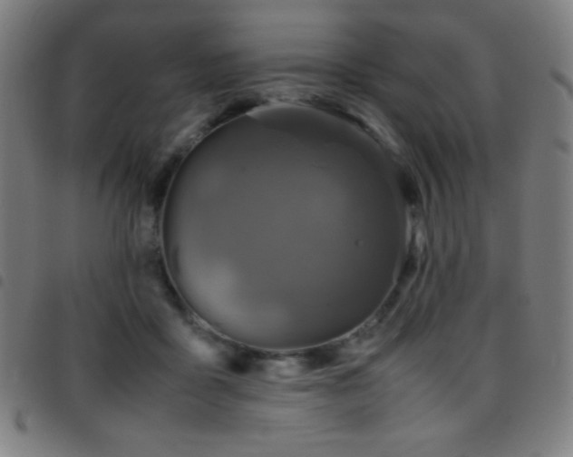 X0000097780411200803071354