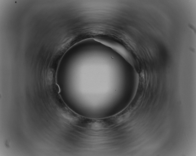 X0000097780412200803071354