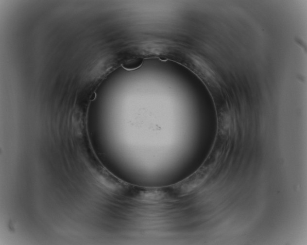 X0000097780414200803071354