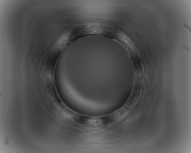 X0000097780415200803071354
