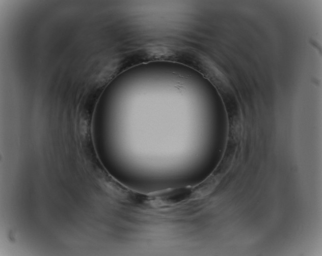 X0000097780417200803071354