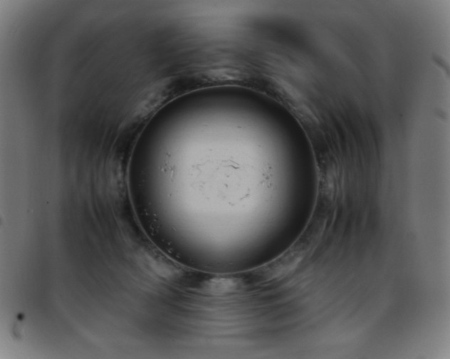 X0000097780418200803071354