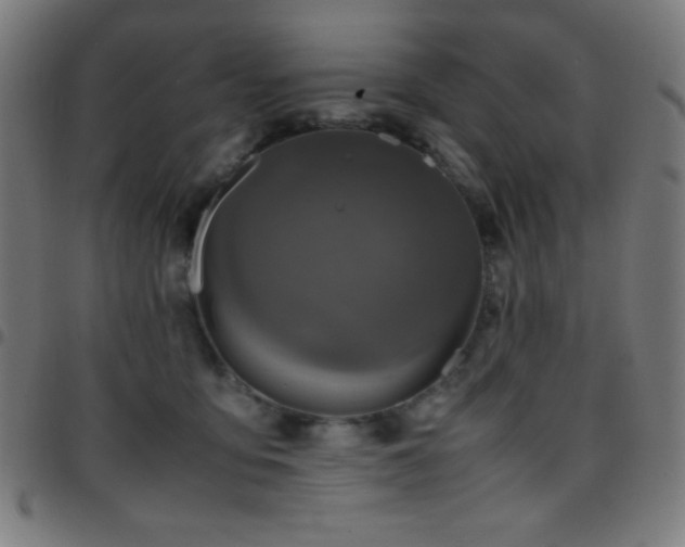 X0000097780419200803071354