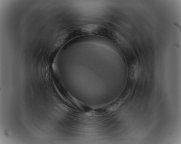 X0000097780420200803071354