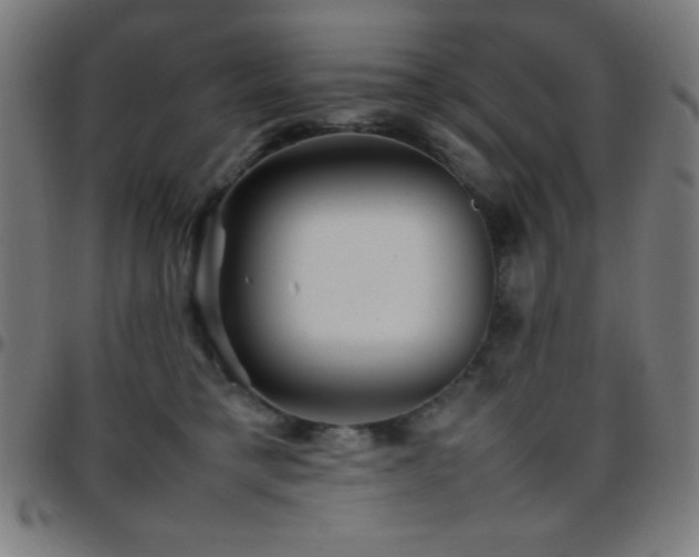 X0000097780421200803071354