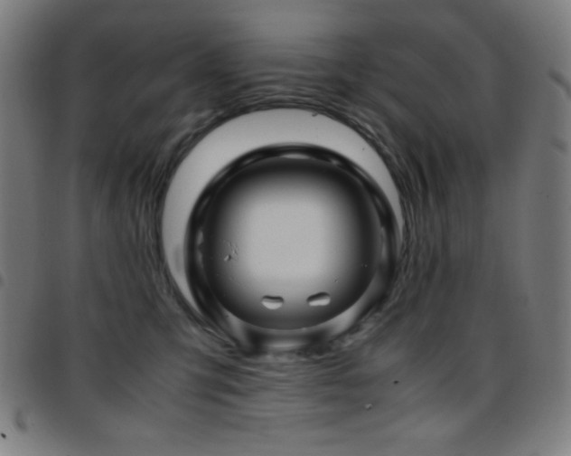 X0000097780423200803071354