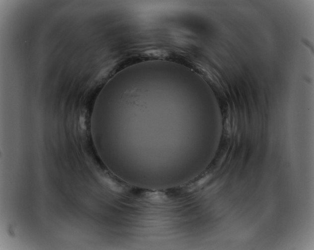 X0000097780424200803071354