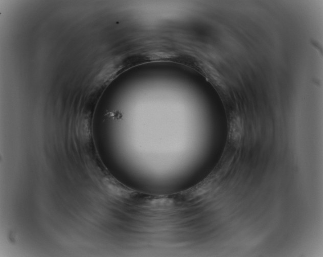 X0000097780426200803071354