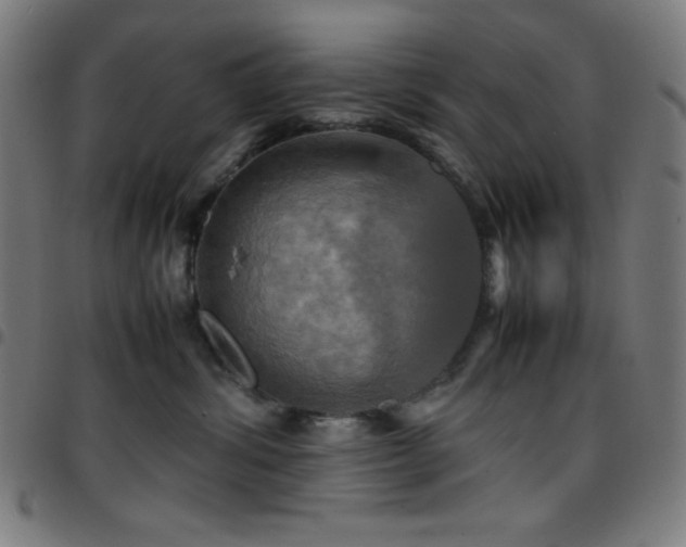 X0000097780428200803071354