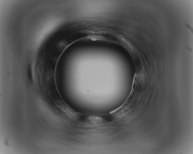 X0000097780429200803071354