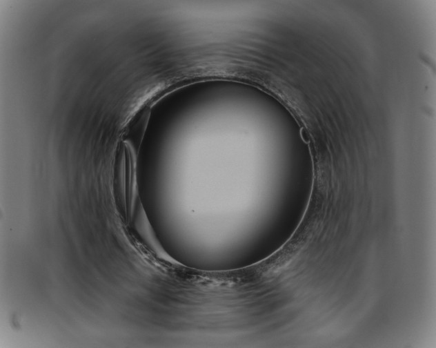X0000097780434200803071353