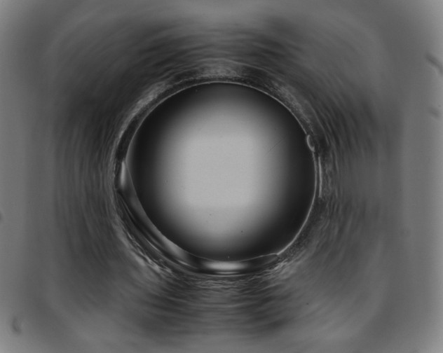 X0000097780435200803071353