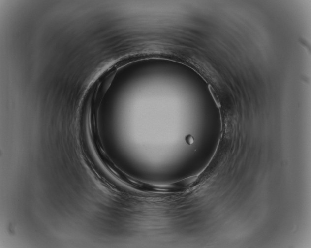 X0000097780436200803071353