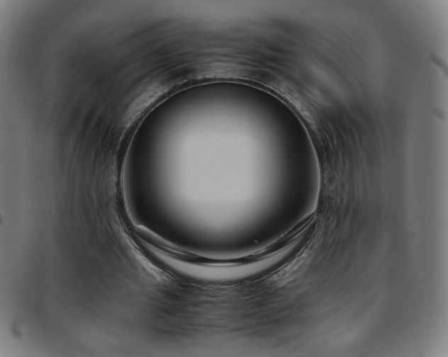 X0000097780437200803071353