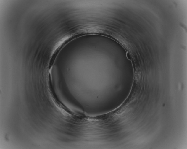 X0000097780438200803071353