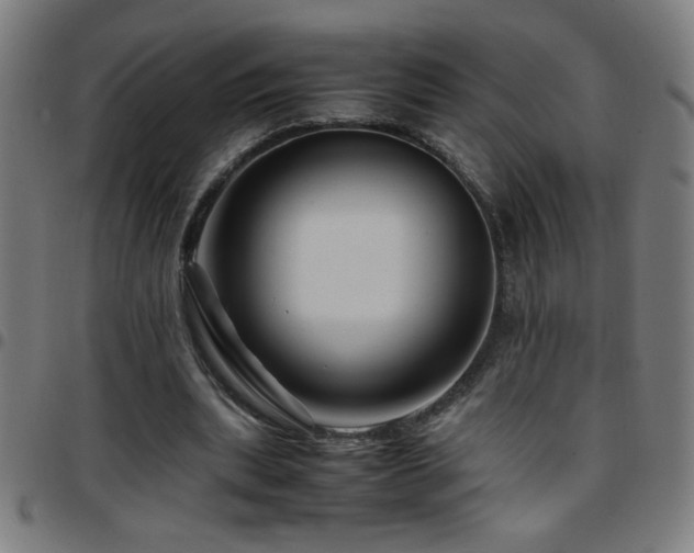 X0000097780439200803071353