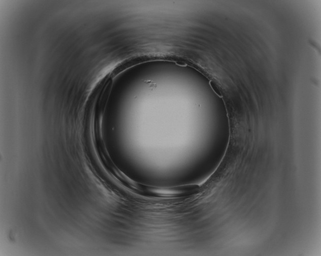 X0000097780440200803071353