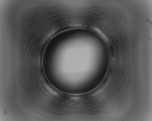 X0000097780441200803071353