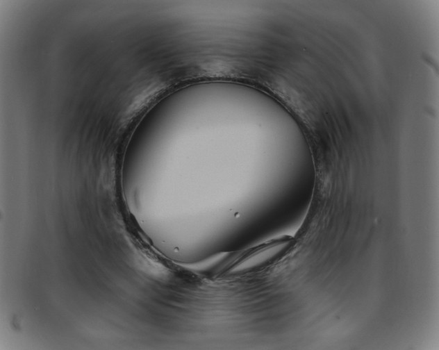 X0000097780442200803071353