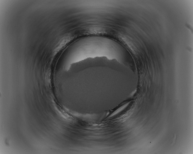 X0000097780443200803071353