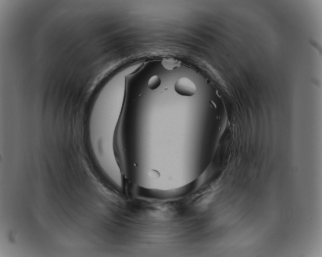 X0000097780444200803071353