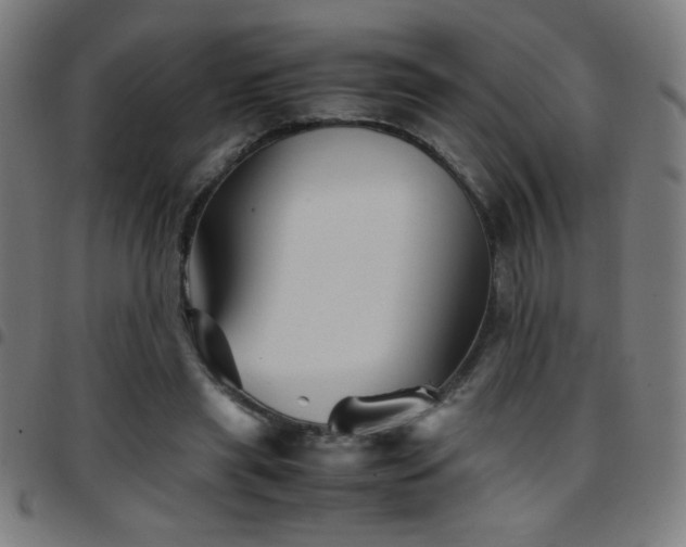X0000097780445200803071353