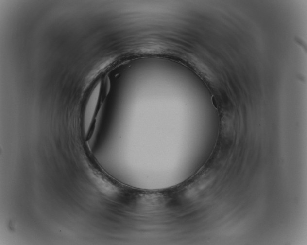 X0000097780446200803071353