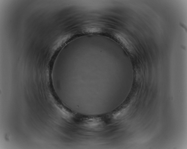X0000097780447200803071353