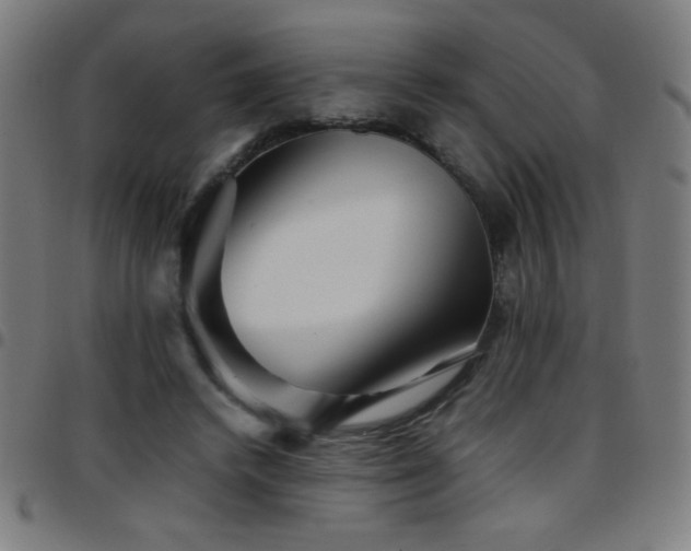 X0000097780448200803071353