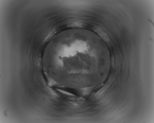 X0000097780449200803071353